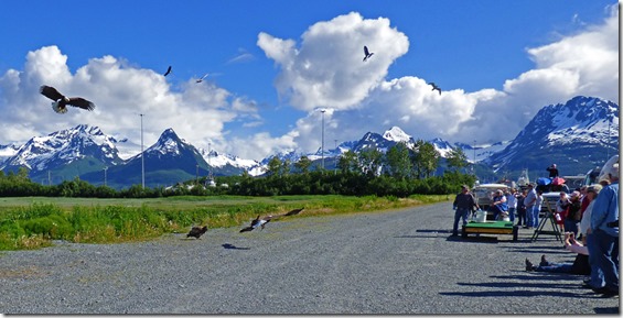 Valdez Eagles