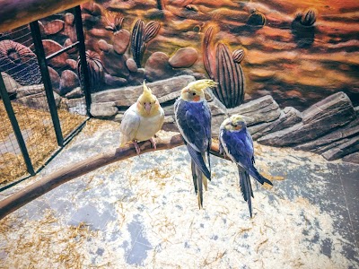 Photos of Kontaktnyy Zoopark "Belyy Kenguru"