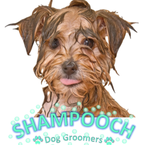 Shampooch Dog Groomers logo