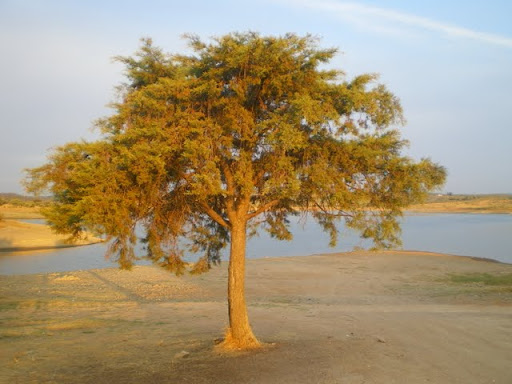 Barragem de Lucef&eacute;cit, na manh&atilde; seguinte