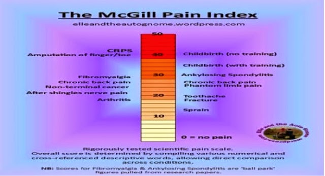 Mcgill Index Chart