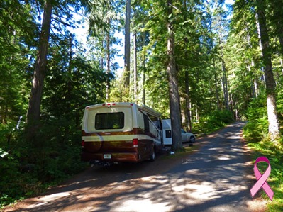 Heart O’ the Hills Campground, Olympic National Park 