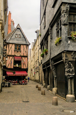 TOUR DE FRANCE. - Blogs de Francia - Jardines Villandry, exteriores de varios castillos del Loira y Tours. (21)