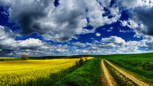 posted image