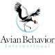 Avian Behavior International