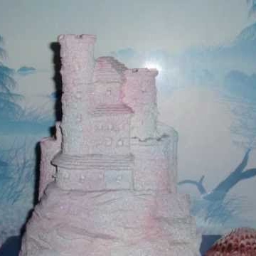 Sandi Castle Photo 5