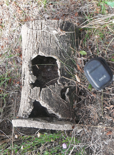 Arna al costat del refugi de la solella de Cruells