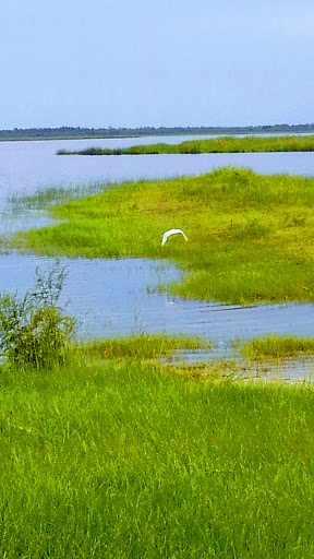 Restaurant «Loughman Lake Lodge Waterfront Restaurant», reviews and photos, 1955 Hatbill Rd, Mims, FL 32754, USA