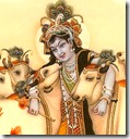 [Krishna with cows]