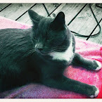 My big lovely Alexis. 20120721-01-alexis-garden.jpg