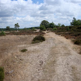 Nog meer (Kootwijker) zand.