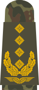 파일:external/upload.wikimedia.org/80px-LA_OS5_64_General.svg.png