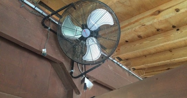 tiggeri blanding eksil Building & Managing the Small Horse Farm: Stall Fan Placement