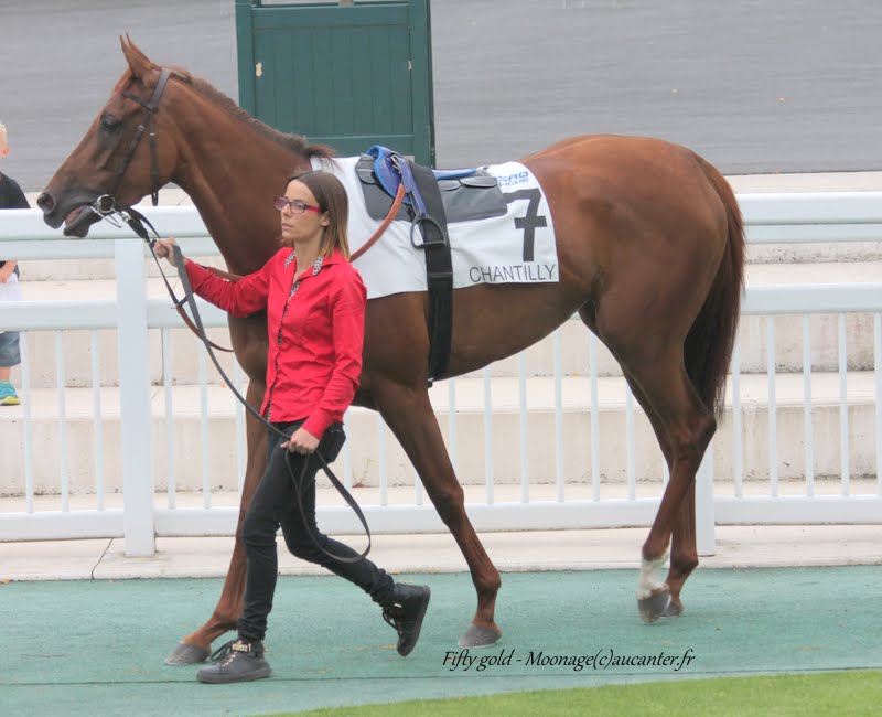 Photos Chantilly 12-07-2015 IMG_2753