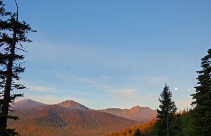 Mountain View on way to Hurricane Ridge