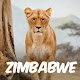 Download Booking & Compare: Zimbabwe Hotel For PC Windows and Mac 1.0