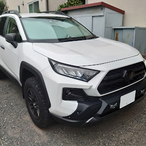 RAV4 MXAA54