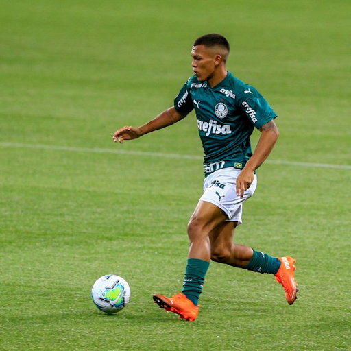 Flavio Canuto  Blog do Torcedor do Palmeiras