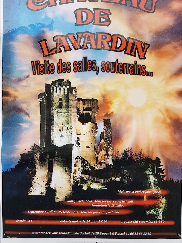 Château de Lavardin