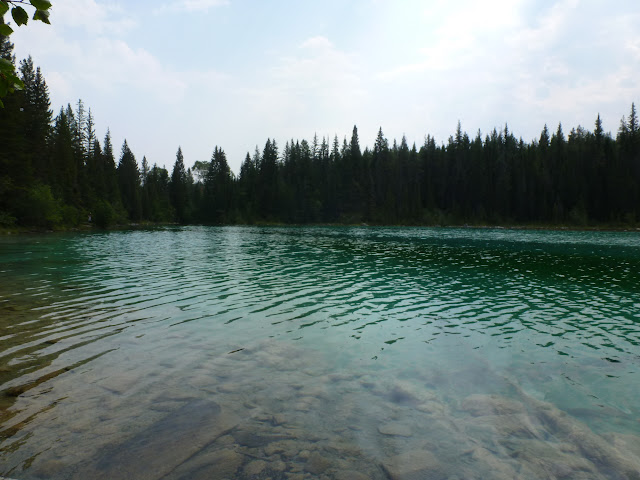 Jasper. Lago Pyramid, Edith Cavell y Glacier Angels, Five Lake, Sky Tram. 7 de J - LAS ROCOSAS DE CANADA. YELLOWSTONE Y GRAND TETON. (31)