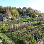 Villeneuve-Saint-Georges : jardins