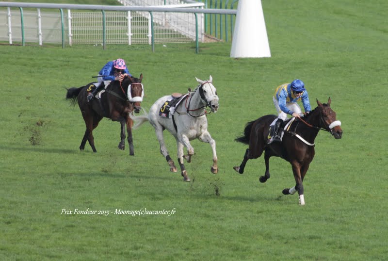 Photos Auteuil 8-11-2015 (48h de l'obstacle) IMG_6863