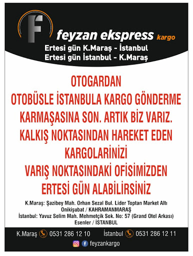 Feyzan kargo logo