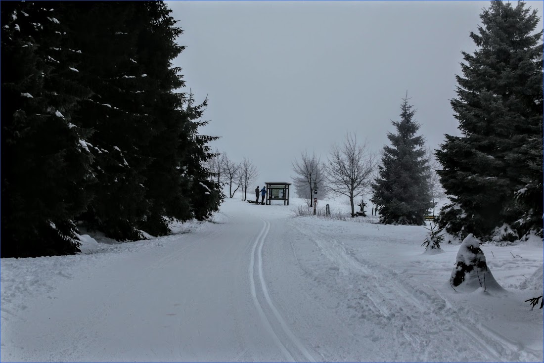 Тюрингенский лес (Thüringer Wald) и Айзенах в январе 2022.