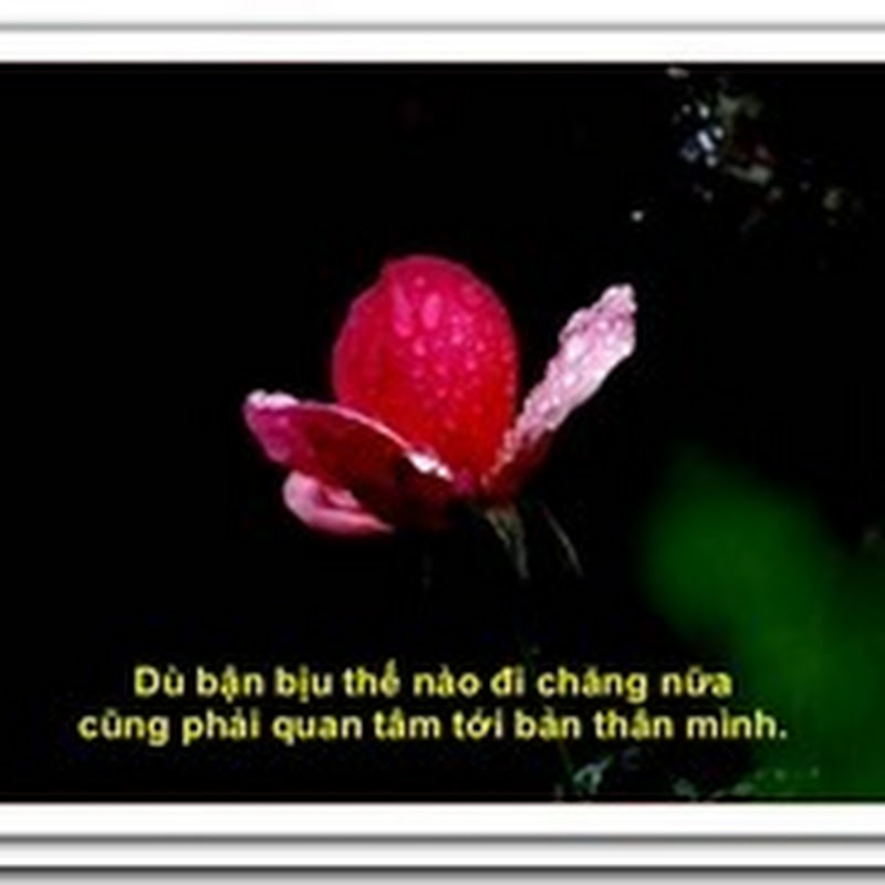 Đôi lời nhắn nhủ bạn già