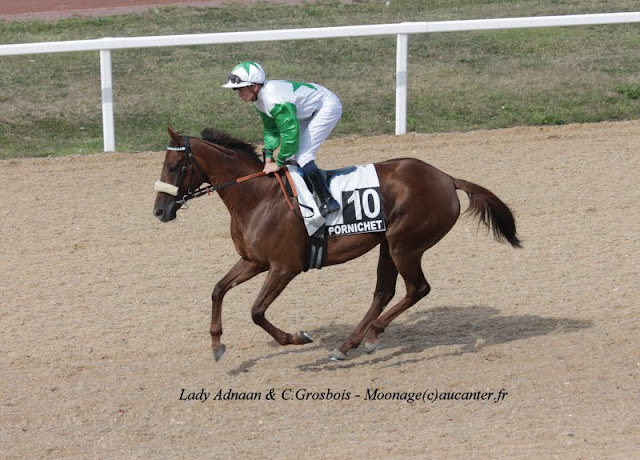 Photos Pornichet le 7-08-2015 IMG_3423