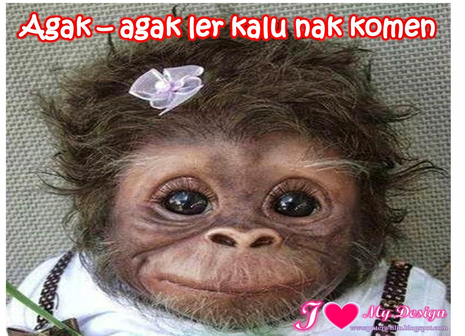 Foto Meme Lucu Monyet DP BBM Jomblo