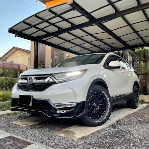 CR-V RT6