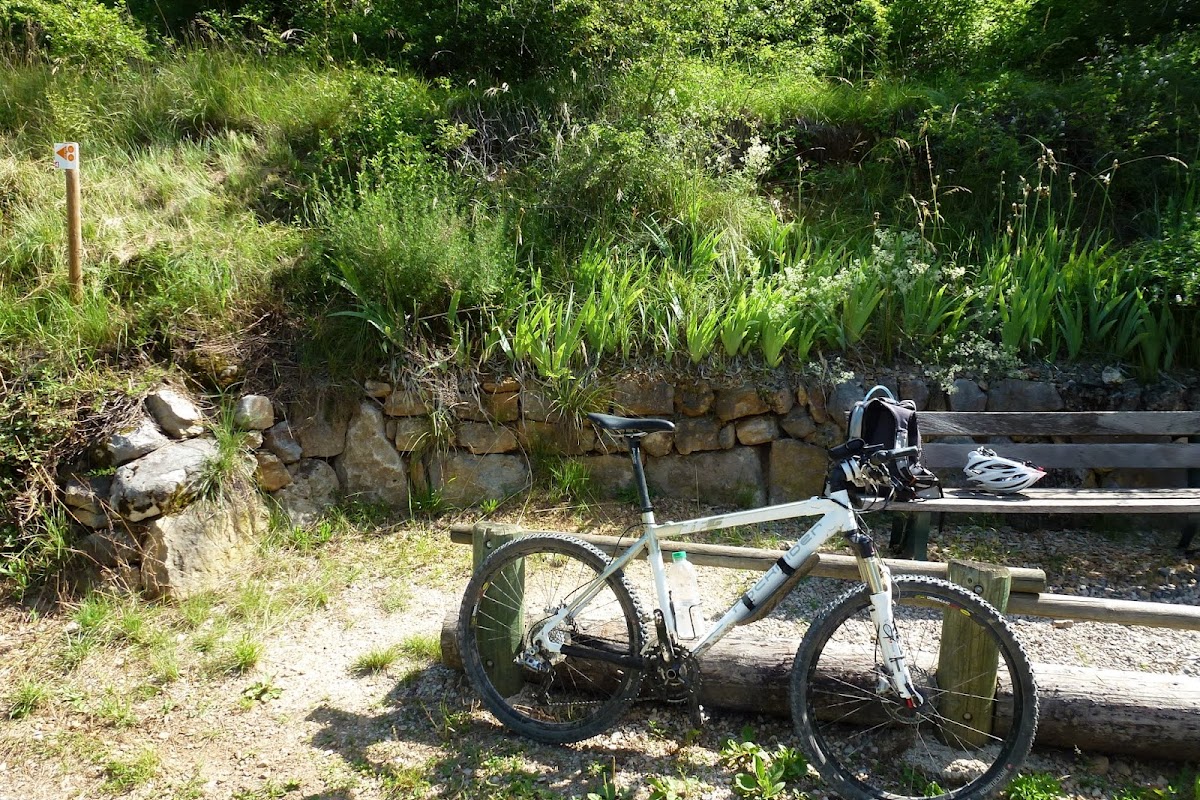 P1010416.JPG