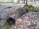 Obrázek: 2010-04-24 08.39.13.jpg