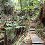 Stairs down from Fern Bower (93307)