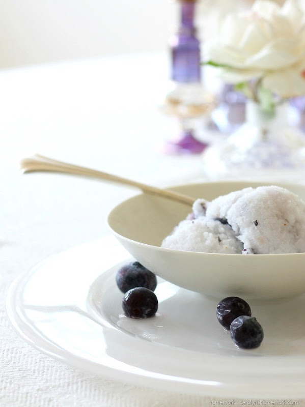 Coconut Blueberry Granita (homework - carolynshomework (7)