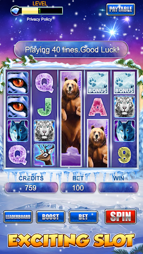 Slot Machine: Bear Slots