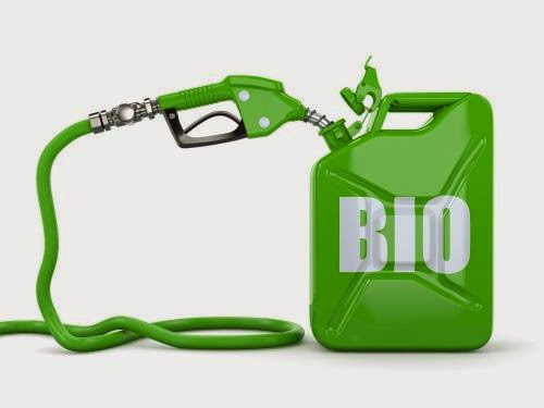 Biodiesel Is Now Sustainable Thanks To New Fuel Cells