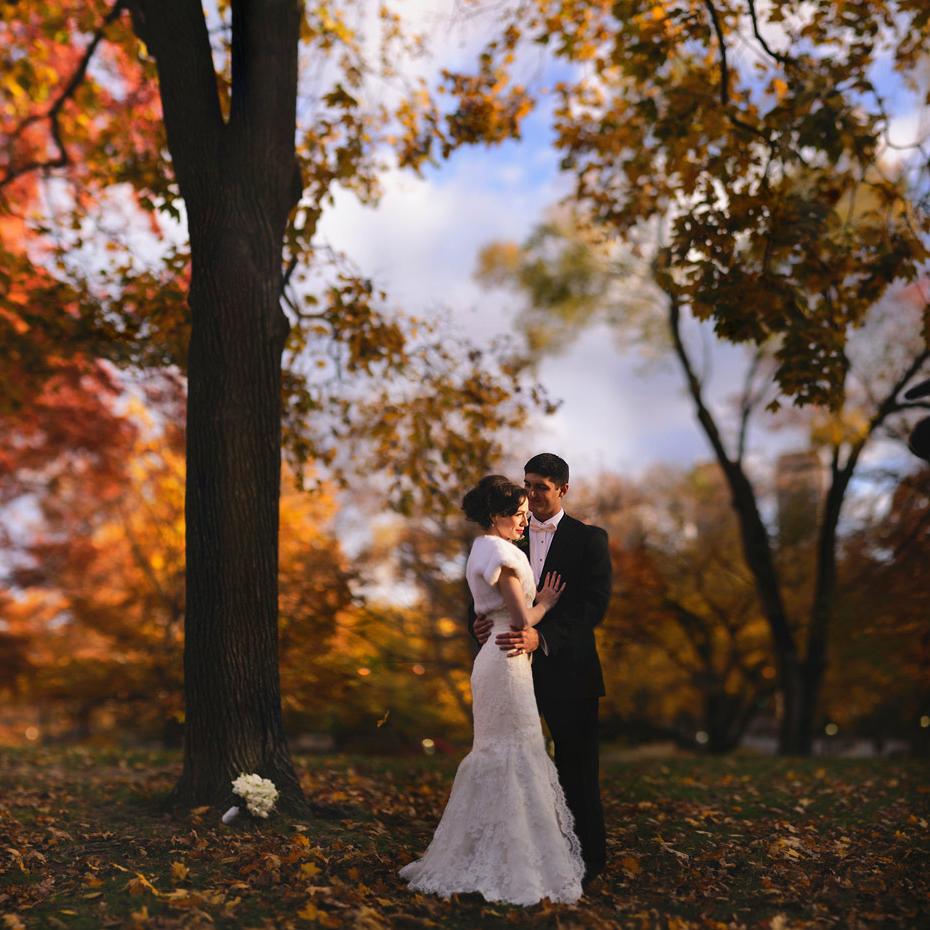 wedding in Central Park.