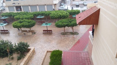Photos of المعهد العالى للعلوم التجارية ونظم المعلومات الادارية