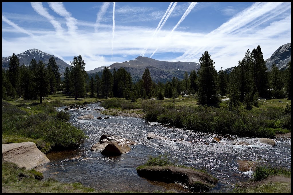 INTENSA RUTA POR LA COSTA OESTE USA 2015 - Blogs de USA - MAMMOTH LAKES-TIOGA ROAD-YOSEMITE (8)