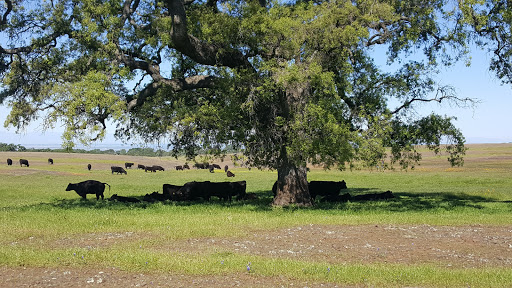 Nature Preserve «North Table Mountain Ecological Reserve», reviews and photos, 2488 Cherokee Rd, Oroville, CA 95965, USA