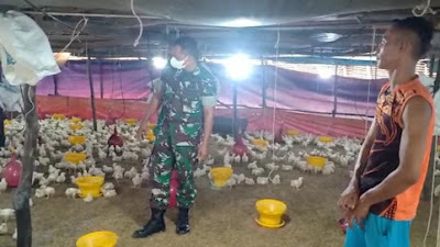 Babinsa Koramil Langsa Kota, Berikan Himbauan Kepada Peternak Ayam Tentang Pencemaran Udara