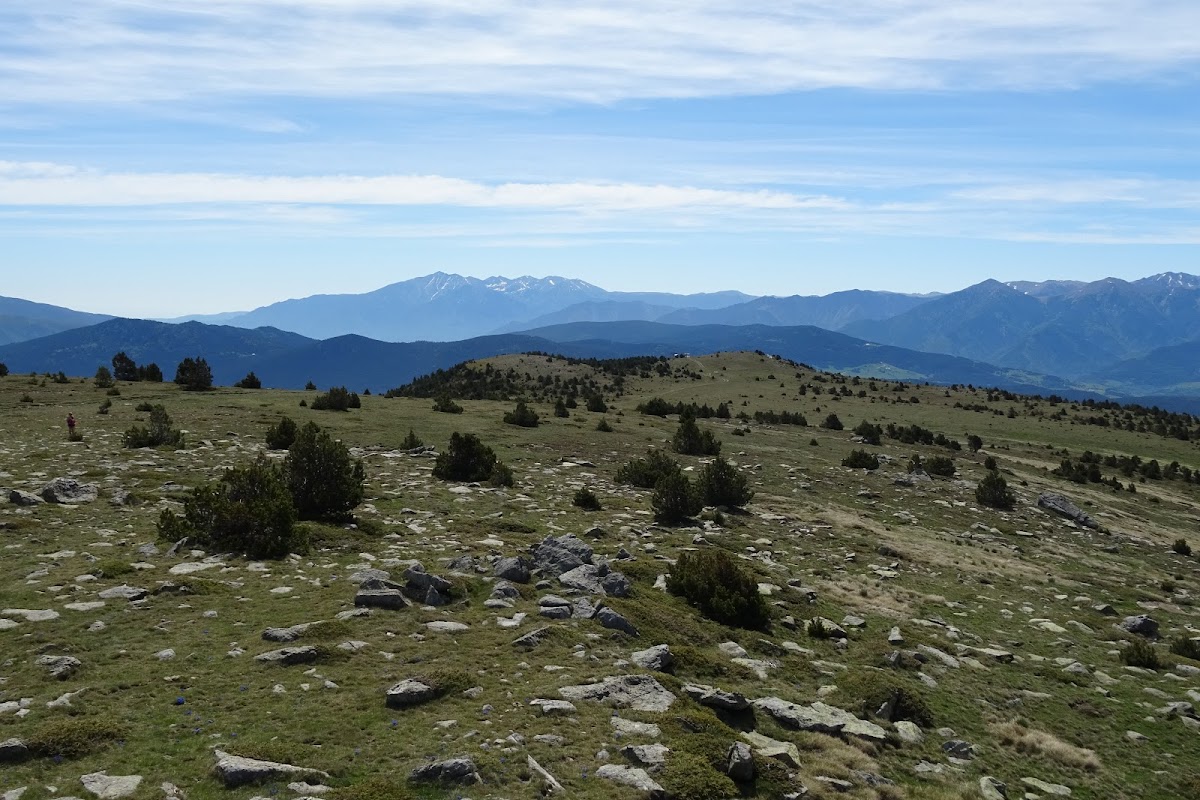 DSC02382.JPG
