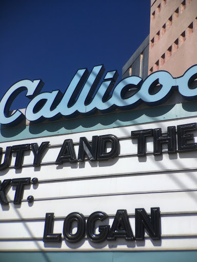 Movie Theater «Callicoon Theater», reviews and photos, 30 Upper Main St, Callicoon, NY 12723, USA