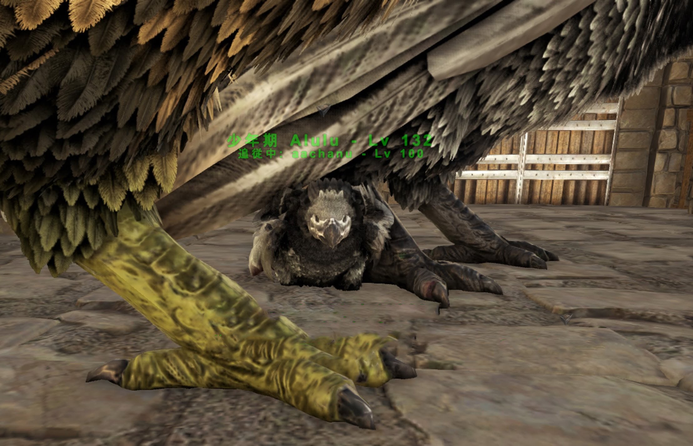 Survival Evolved アルゲンお子様とカワウソ祭り Ark Survival Evolved