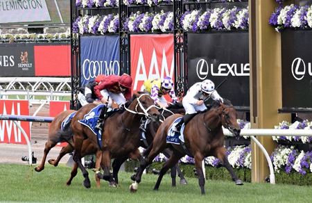 coolmore_finish 5