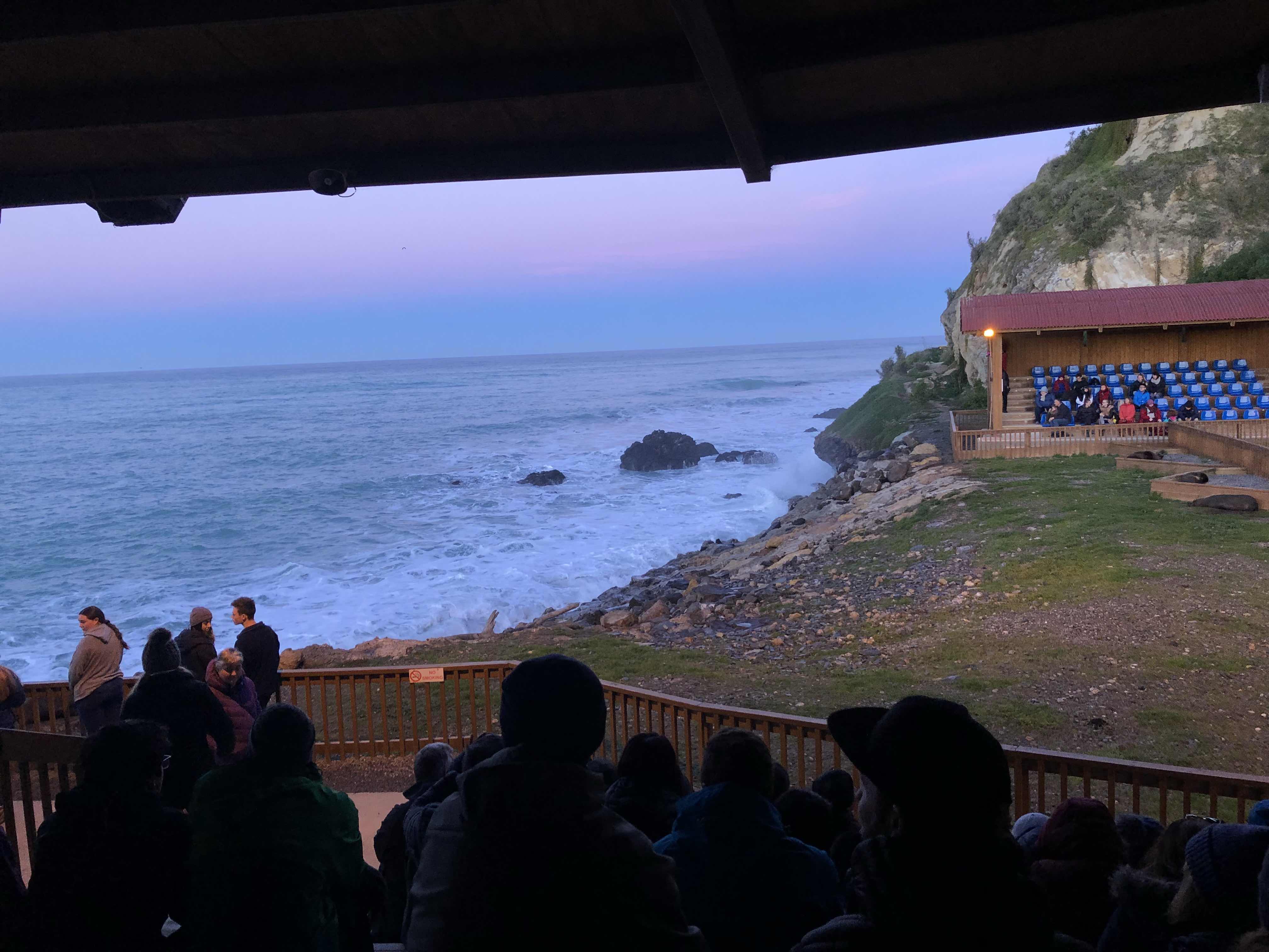 Our view for the penguins! The fur seal climbed over the fence at the bottom left of this picture.