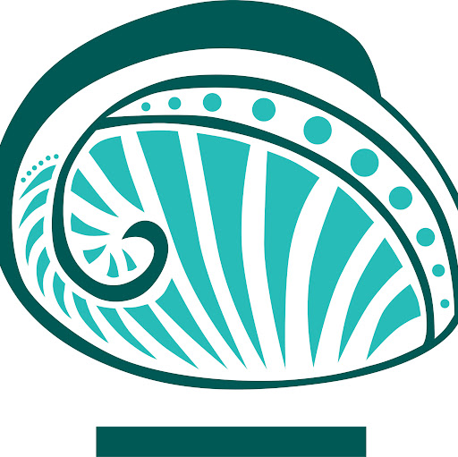 Pāua Sports Therapy & Massage logo