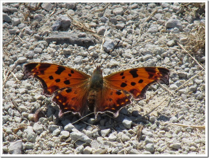 2018-09-17c Kansas, Marysville - Blue River Rail Trail (150)